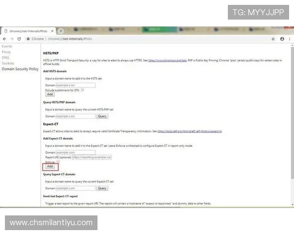 米兰登录页面无法访问？排查故障的实用解决方案